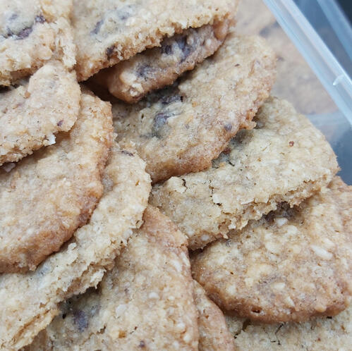 choco chip oatmeal cookie